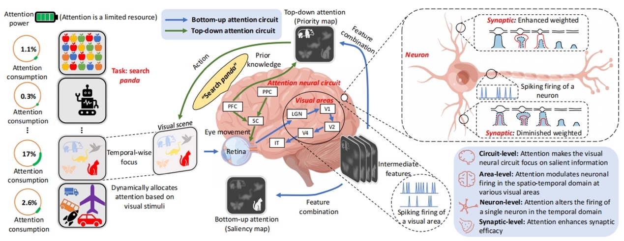 2026年中国游戏手柄行业深度调研及发展前景预测：从硬件外设到智能交互中枢的跃迁(图1)