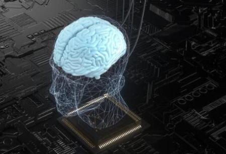 研究人员开发出新型神经形态设备可模仿人脑实时处理视觉数据(图1)