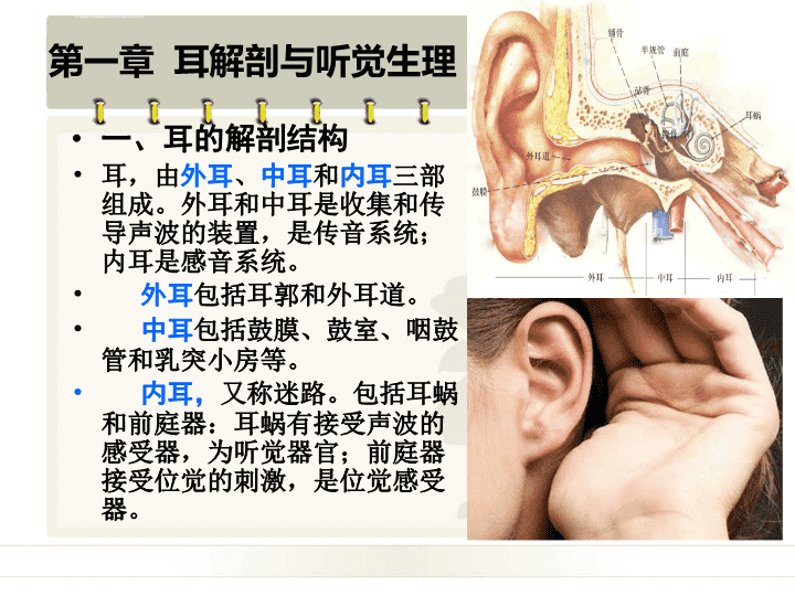 “政策福利”加持听障患者手术后重获新“声”(图1)