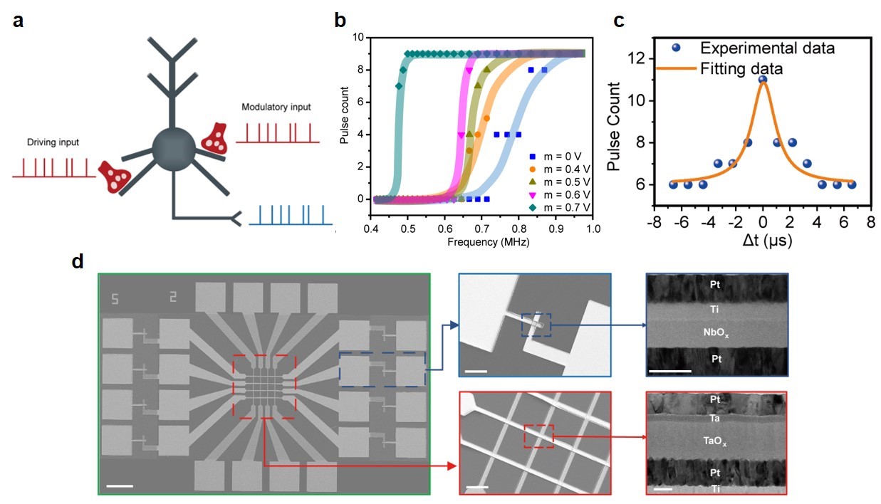 又一位！顶尖计算生物学家自美回国(图1)