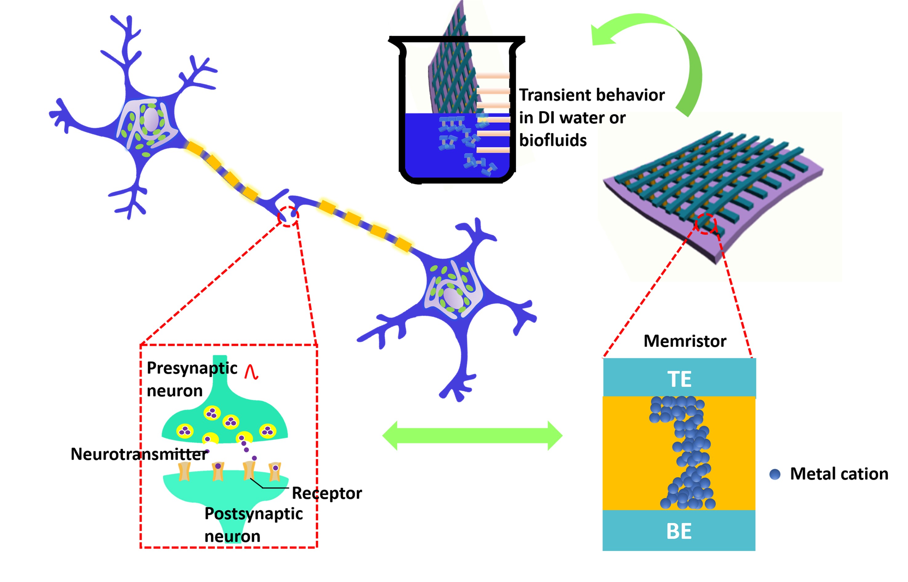 政策技术双重共振！“十五五”人形机器人掘金指南(图1)