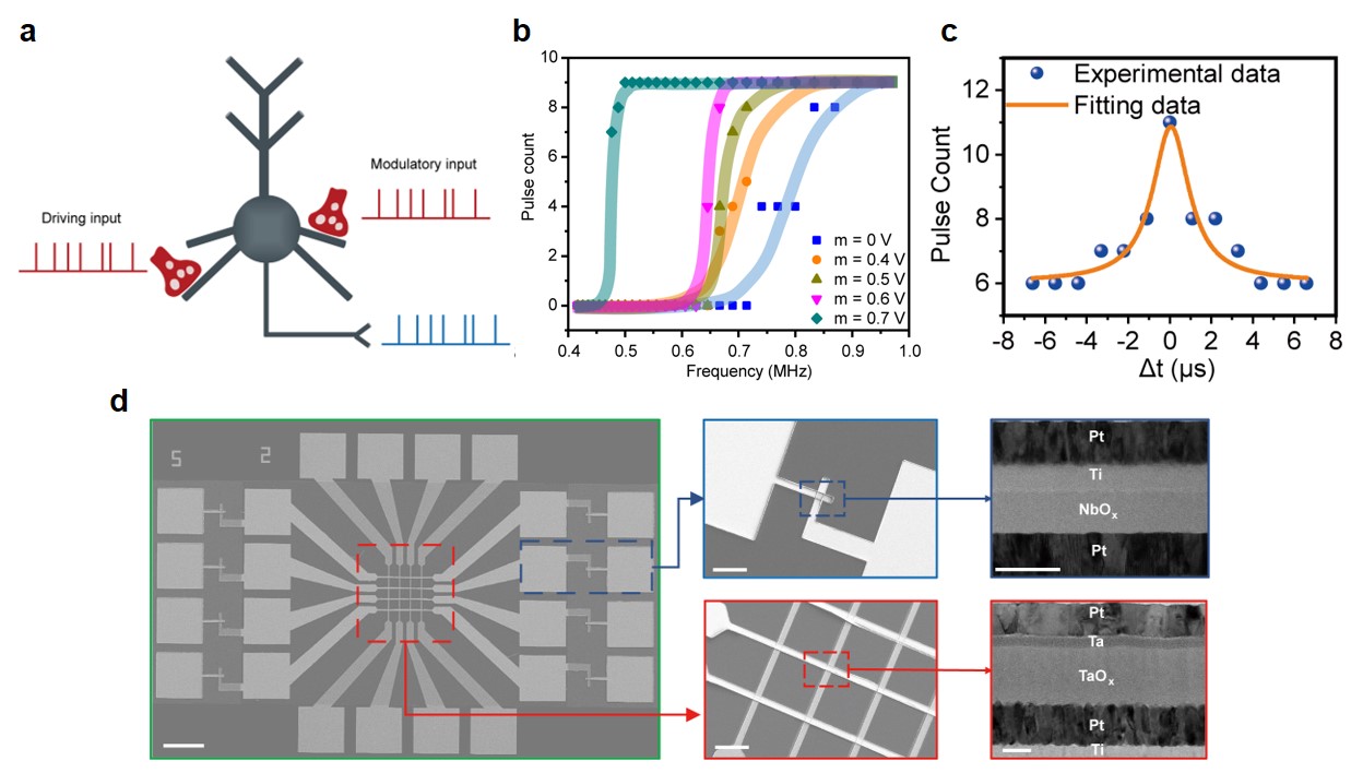 探针生态:索格智算完成千万元种子轮融资AI4Material国内新星亮相(图1)