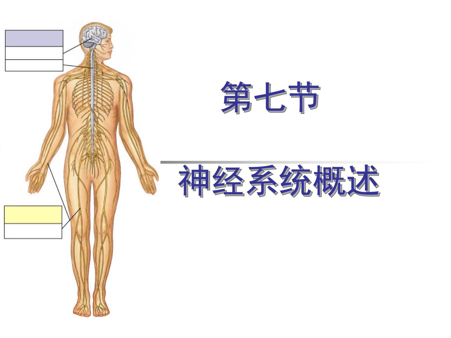 2026低压电缆行业:在需求扩容与结构升级中砥砺前行(图1)