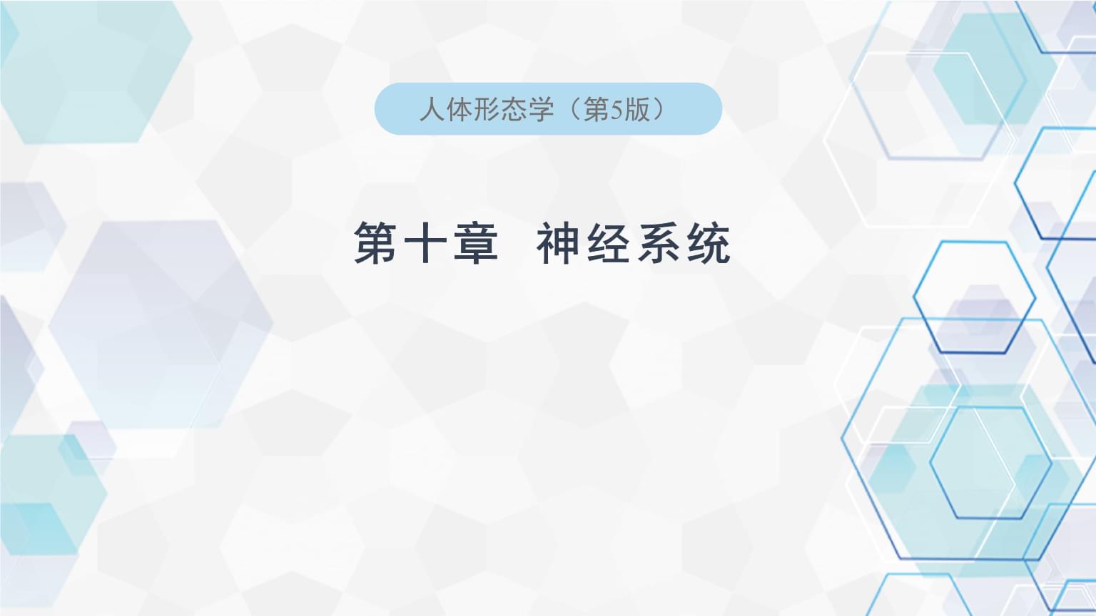 心智观察所“全球首证”背后:一场关于大脑的中美竞赛悄然提速(图1)