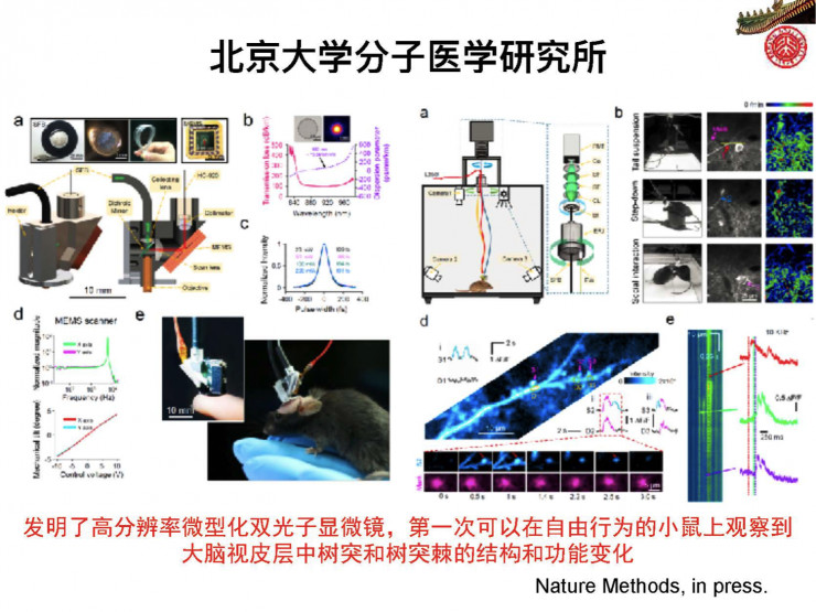 机器人“智脑”将觉醒!上海提出“具身智能中国方案”(图1)