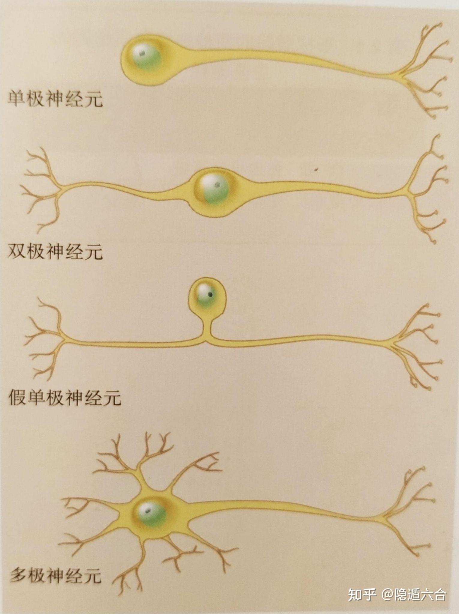 英特尔任命AlexKatouzian为客户端计算和物理AI事业部总经理(图1)