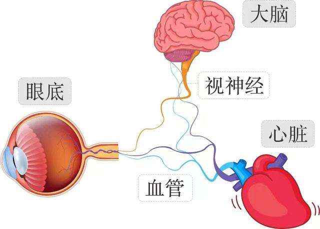北摩高科：公司子公司京瀚禹的RISC-V神经网络芯片已取得专利(图1)