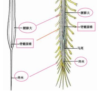 2026年低空无人机追踪事件相机哪家好?避开选型踩坑要点逐一梳理(图1)