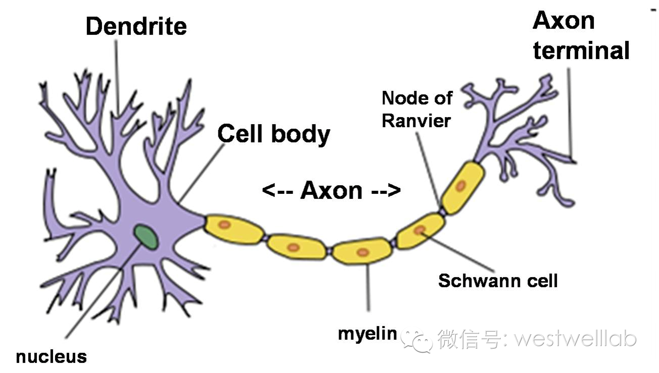 物理AI重塑智驾(图1)