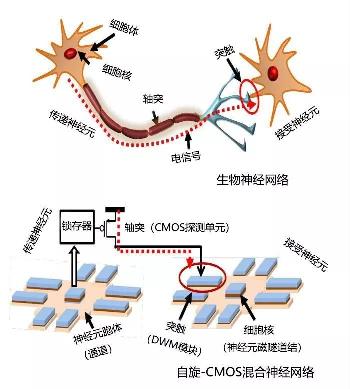 功耗毫瓦级基于注意力机制的类脑芯片问世(图1)