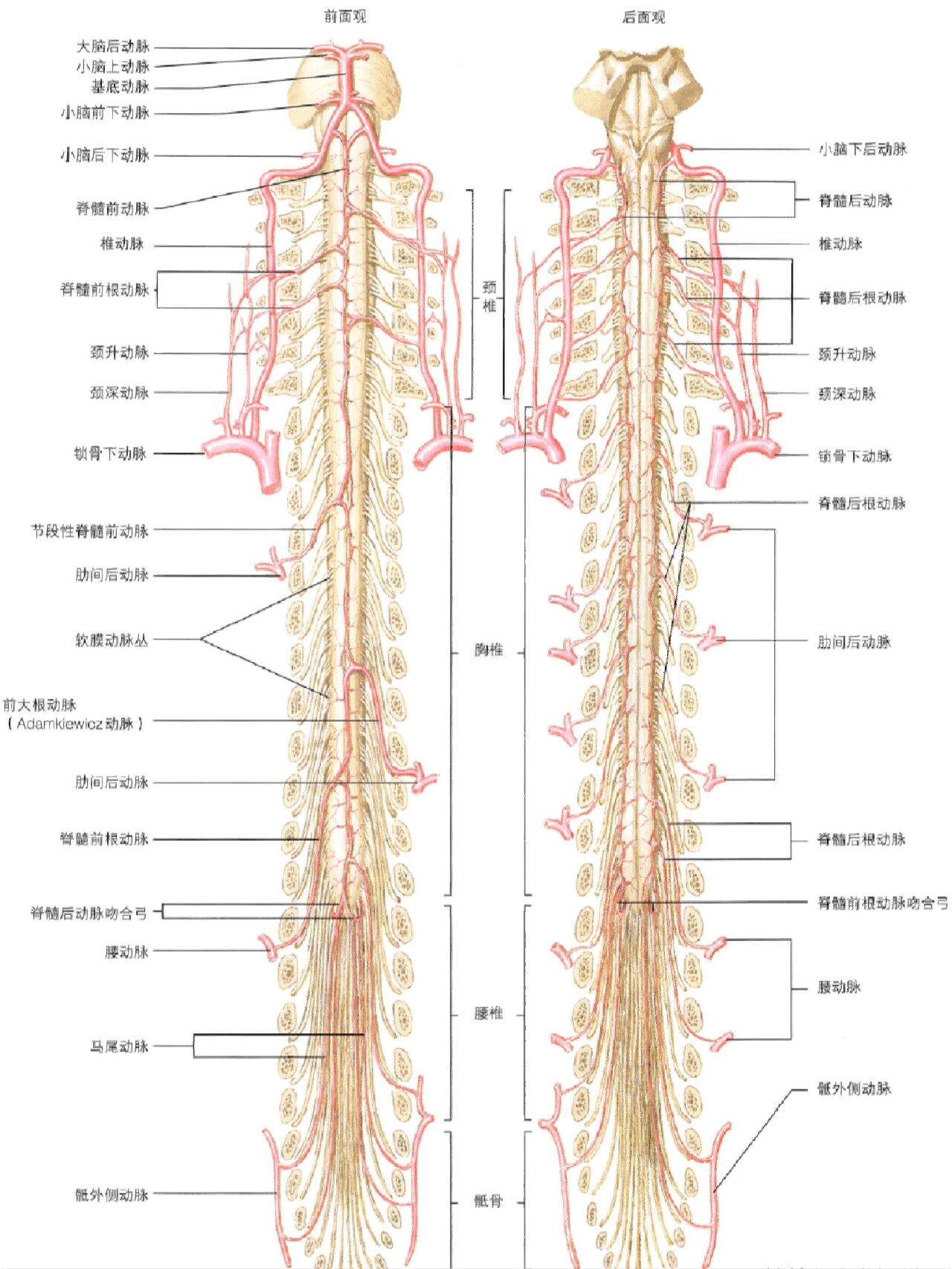 深度CPU_天极网DIY电脑硬件频道(图1)